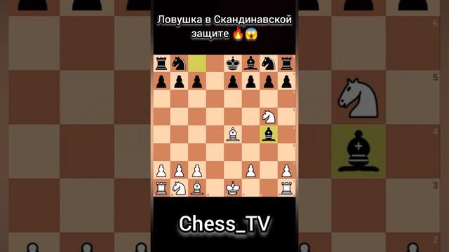 Топ 5 💥 ЛУЧШИХ ЛОВУШЕК В ШАХМАТАХ 😍 на канале Chess_TV смотреть онлайн