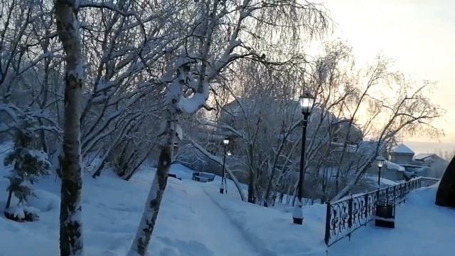 ? А вы слышали как поют птицы зимой в Заполярье? смотреть онлайн