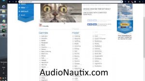 Бесплатная музыка для визуальной новеллы. Лицензии. - Уроки RenPy #2 | Космо