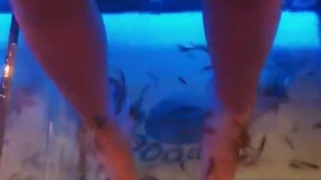 Рыбы и ноги смотреть онлайн