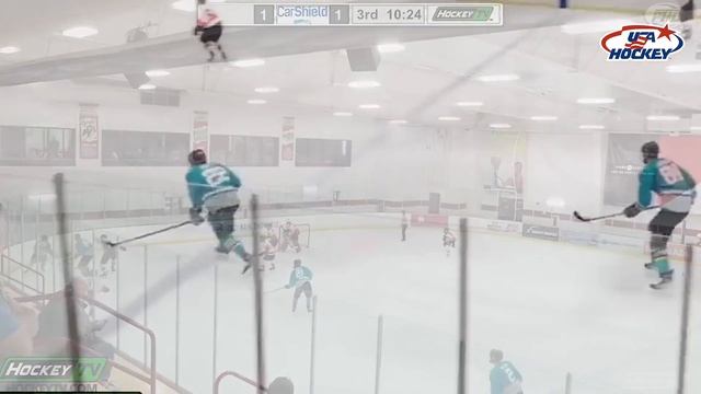 A Renewed Emphasis on Body Checking to Develop Players for the Modern Game смотреть онлайн