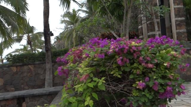 Остров Хайнань .г Санья Дадунхай отель Мандарин январь 2019 смотреть онлайн