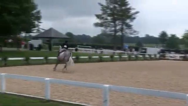 Video of SNOW PATROL ridden by MEAGAN MURRAY-TENUTA from ShowNet! смотреть онлайн