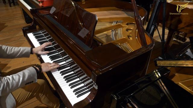 Cranes CJS-142 Baby Grand Piano - Demonstrated by Sherwood Phoenix смотреть онлайн
