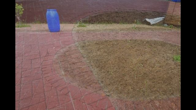 "Клумба из ничего !" Эстетика "окна" в поле мощения .Мостовая Ру . смотреть онлайн