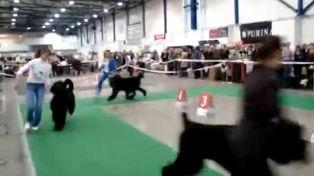 ЗОЛОТЫЕ ВОРОТА