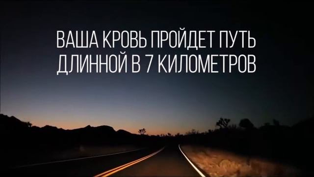 Что делает тело за 30 секунд смотреть онлайн