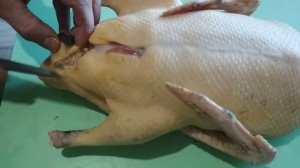 Опщипывание, потрошение утки.