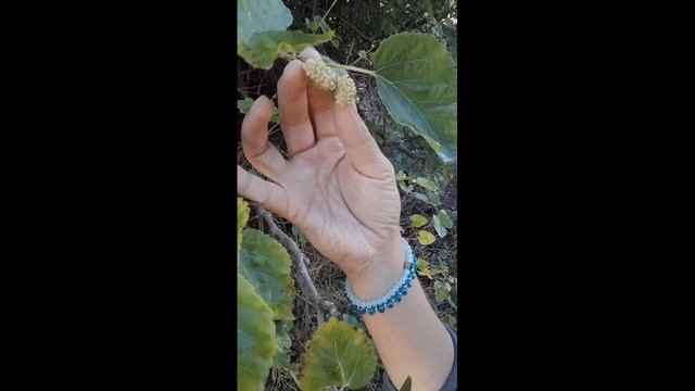 Провинция Кордоба, Аргентина. Горы Кордобы. Montañas Cordoba. La Falda.