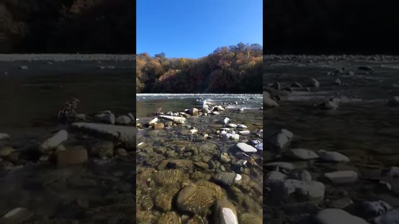 12.11.22 г. Погода Лазаревское #shorts #лазаревское2022 #погодалазаревское #сочипогода смотреть онлайн