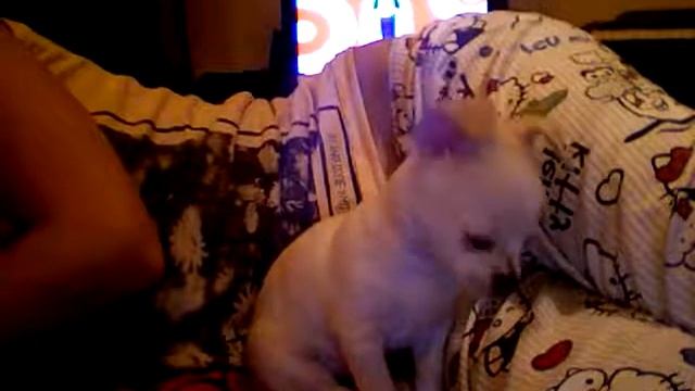 кенни испугался смотреть онлайн