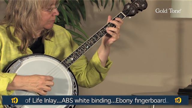 Gold Tone TS-250AT Tenor Banjo смотреть онлайн