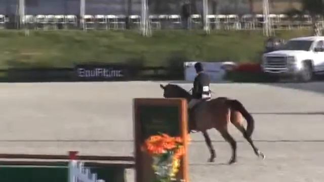 Video of Calandia ridden by Karl Beyer from ShowNet! смотреть онлайн