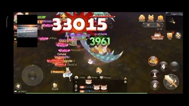 Laplace M Spirit Master Dragon quest Magical Cat guild (read description) смотреть онлайн