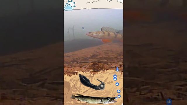 Самодельная Мормышка ЛЕСОТКА!🎣 #рыбалка #рыбаки #судак #щука #охота #налим #икра #окунь смотреть онлайн