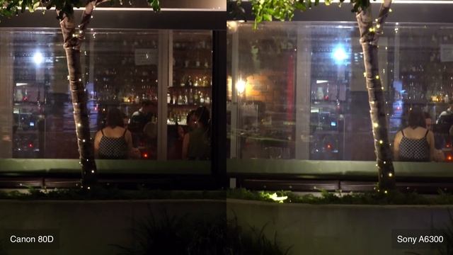 Canon 80D vs Sony A6300 - Real World Low Light Test смотреть онлайн