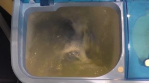 Стиральная машина  активаторного типа Renova WS-40 PET  Обычный режим стирки