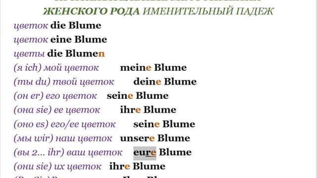 5 УРОК ГРАММАТИЧЕСКИЙ КУРС НЕМЕЦКОГО ЯЗЫКА немецкий язык грамматика ПРИТЯЖАТЕЛЬНЫЕ МЕСТОИМЕНИЯ смотреть онлайн