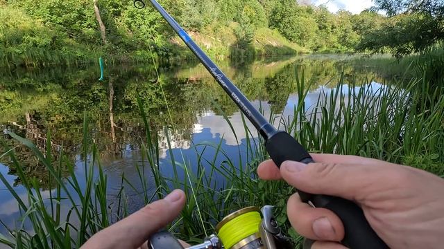 Narval River Dance 120