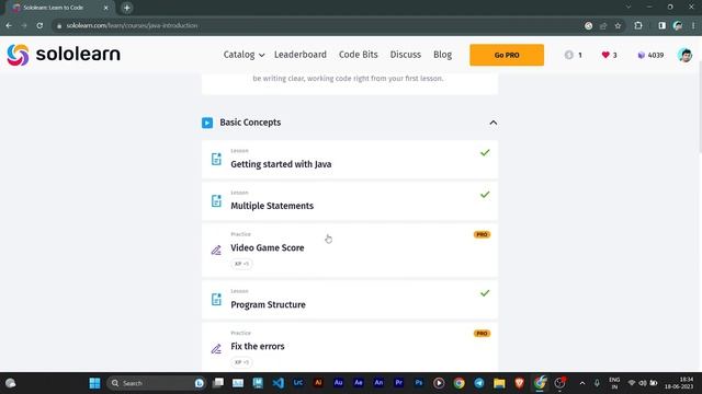 Introduction to java solo learn new course answers of Basic Concepts part 01 смотреть онлайн