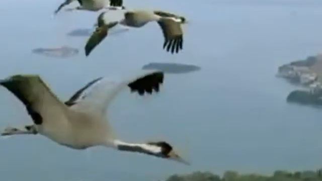 ЧЕЛОВЕК НЕ ЛЮБИВШИЙ МЕНЯ (поёт ED Grig) смотреть онлайн