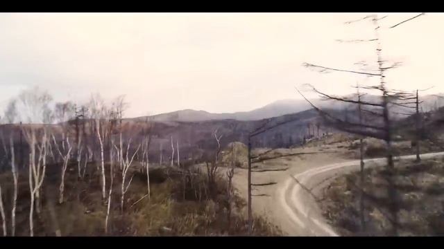 ЛИТВИН НОВЫЙ РОЛИК. ПОДАРИЛ ПАПЕ МАШИНУ РЕАКСИЯ РОДИТЕЛЕЙ. смотреть онлайн