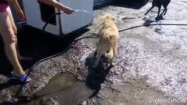 Купальный день смотреть онлайн
