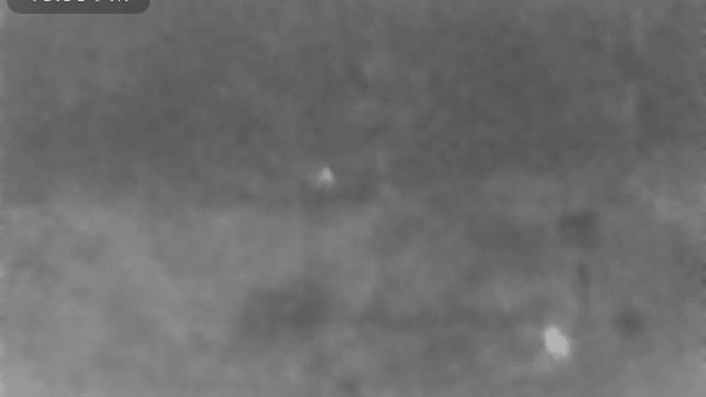 Seek thermal xr racoons at 40 and 50 yards смотреть онлайн