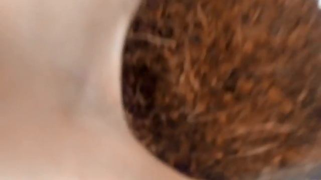 Как ухаживать за улиткой ахатиной #2 - замена грунта. смотреть онлайн