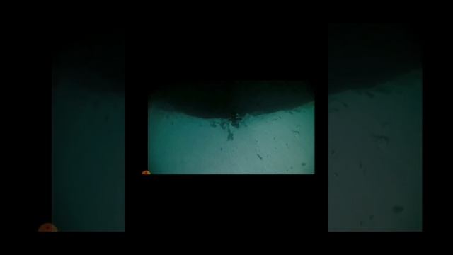 LEOPARDA Cover Линда 