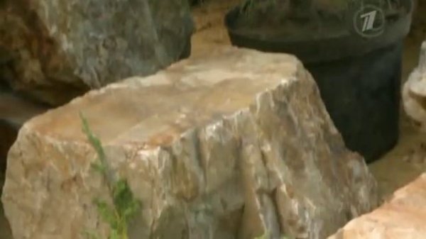 Фазенда Веранда галерея Фазенда Видеоархив