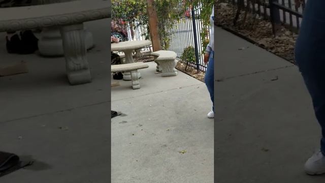 TRUMP SUPPORTER PRANK GOES WRONG!! (ARGUMENT FOLLOWS) смотреть онлайн