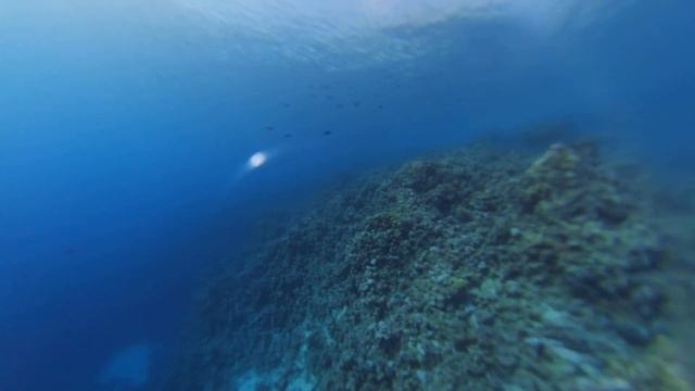 Sharm El Sheikh Dive 1 - El Fanar Beach смотреть онлайн
