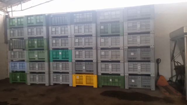 HOW TO MAKE EXTRA VIRGIN OLIVE OIL смотреть онлайн