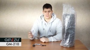 Обзор Ginzzu GM 210