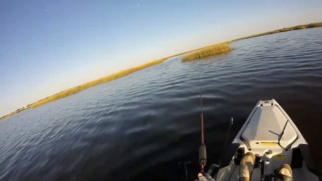 PAC Kayak Fishing 10/28/2018 смотреть онлайн