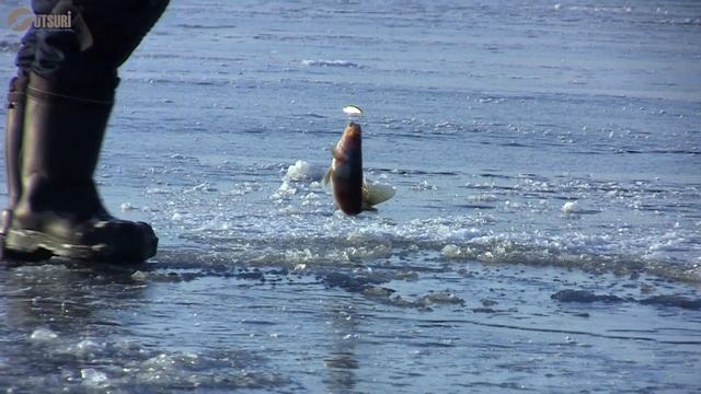 Зимние Ратлины