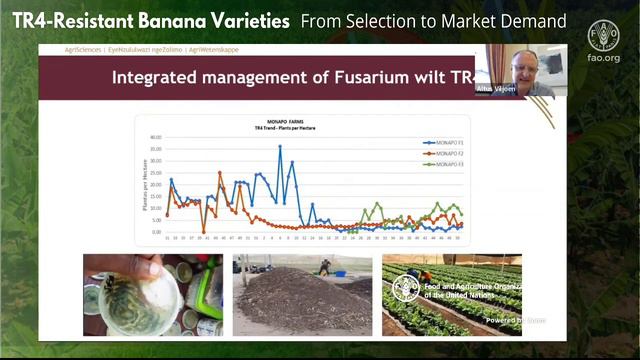 Day 1– TR4 Global Network – TR4-Resistant Banana Varieties: From Selection to Market Demand смотреть онлайн