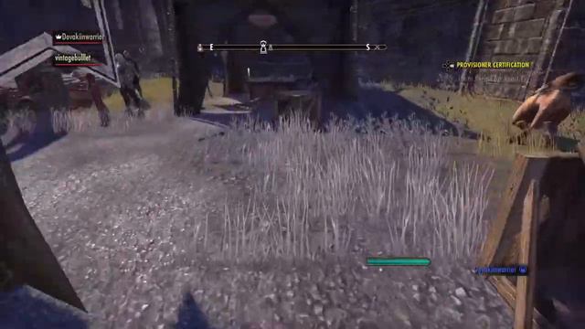 Elder Scrolls Online:How to get free weapons and armor in Davons watch смотреть онлайн