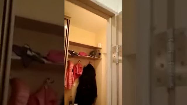 Натяжные потолки в комнате, коридоре и на кухне двухуровневый от Pro100potolki.ru смотреть онлайн