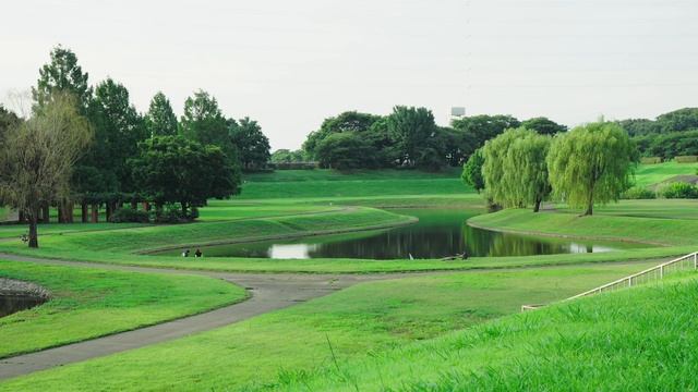 SONY FX3 & FE 50mm F1.2 GM Cine EI S-Log3 test смотреть онлайн