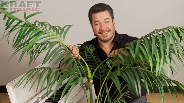 Kraft Music - OUTTAKE Korg LP-180 Safari with Rich Formidoni смотреть онлайн