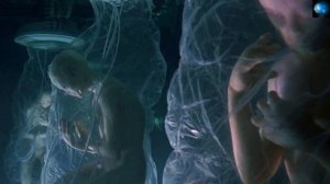 ЙОХАН ФРИЦ (ЧАСТЬ 9) - МКК, ТРИУМВИРАТ, КЛОНЫ, КИБОРГИ И РАБОТОРГОВЛЯ.