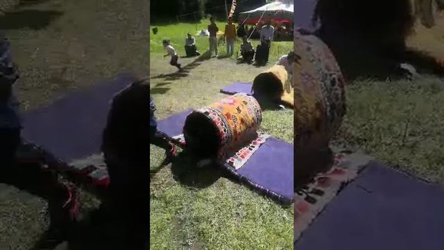 прикол дня смотреть онлайн