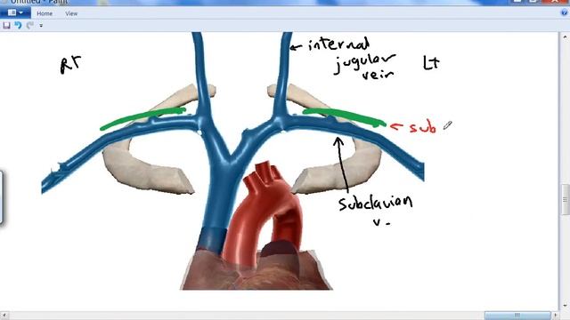 axillary lymph nodes ( part 2 )DR SAMEH GHAZY смотреть онлайн