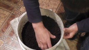 Как сохранить червей на зиму в квартире.