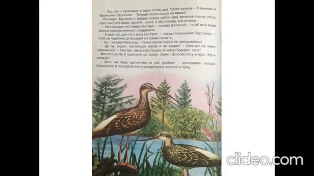 ВЫХОДНЫЕ ПОЧИТАЙКИ: В.Бианки "Чей нос лучше?" смотреть онлайн