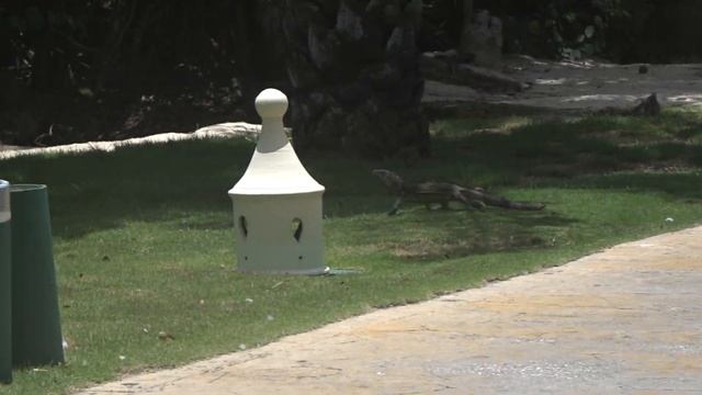 Работа полного привода фольцваген тигуан смотреть онлайн