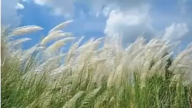 Dekho Aloy Alo Akash with lyrics by Arijit Singh смотреть онлайн