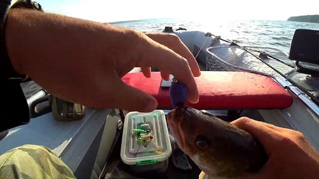 ПОРОЛОН: КОРОЛЬ РЫБАЛКИ. СУДАК ЛЮТУЕТ. СЛОМАЛ СПИННИНГ. смотреть онлайн